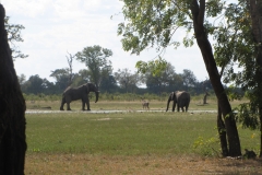 Pat-WS-Little-Mak-Watering-Hole-4c-27Apr19