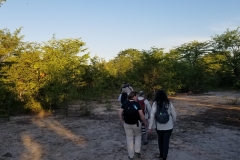 Pat-WS-Rhino-Walk-16-26Apr19